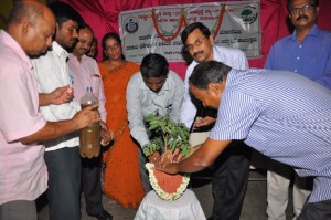 training on organic vegetables      