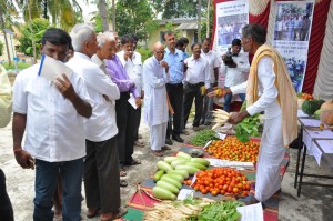 marketing of organic vegetables      